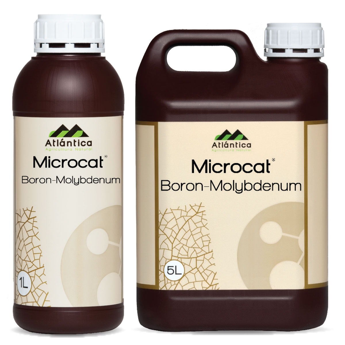Microcat® B-Mo
